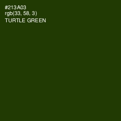 #213A03 - Turtle Green Color Image